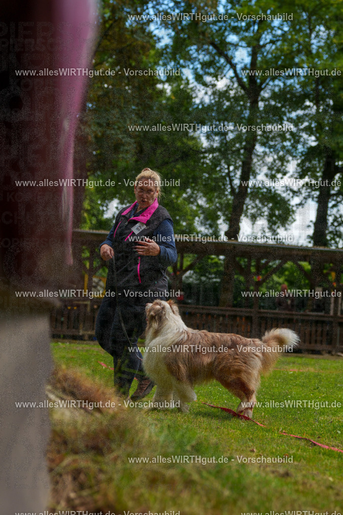 @allesWIRTHgut_Tierfotografie - www.allesWIRTHgut.de - 7R501282 | Professionelle Tierfotografie in Mönchengladbach von Daniel Wirth (allesWIRTHgut). Liebevolle & natürliche Bilder von Hunden & Katzen für unvergessliche Erinnerungen.