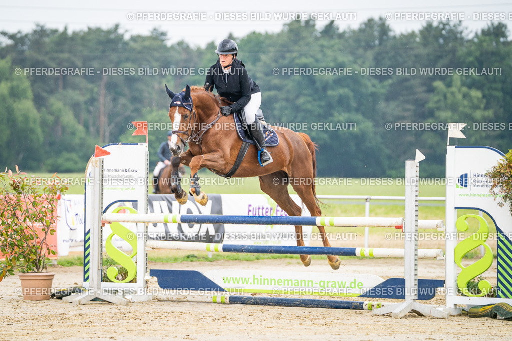 DSC09554 | Pferdegrafie