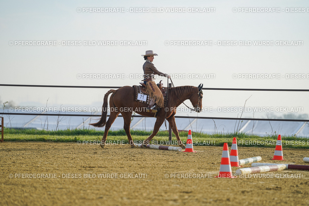 DSC09797 | Pferdegrafie