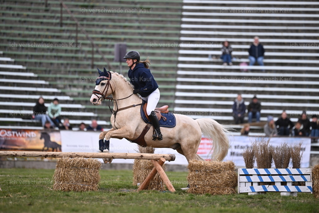 PI26_Show_Sara_Landvogt_226_1842.JPG | working equitationturnier fotograf videograf stoibphotography marixx film working equitation deutschland reitsport turnierfotografie eventfotografie equestrian events
