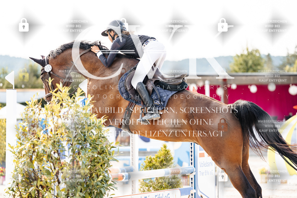 CK906391 | Turnierfotografie Pferdefotografie Trier Rheinland-Pfalz Pferdesport Reitsport Tierfotografie Sportfotografie Pferdevideo Pferdevideografie Equestrianvideography equestrianphotography  - Realisiert mit Pictrs.com