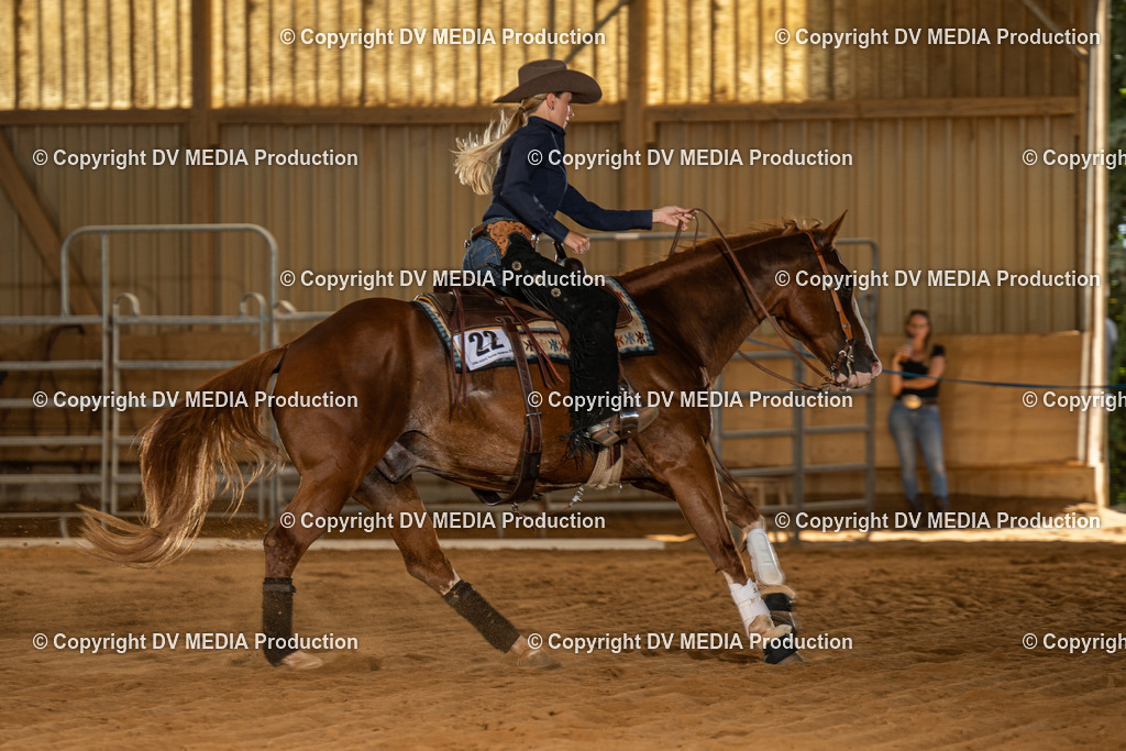 NID02158 | dv-media-shop - Realisiert mit Pictrs.com