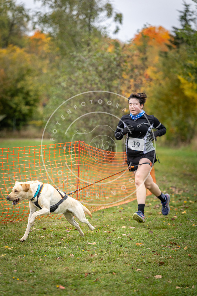 Pfotenfotografie_DV3A2280 | Hundefotografie, Tierfotograf, Pfotenfotografie, Fotoshooting Hund, Hunde Portrait, Hundesport, Hundeportraits, Heideshooting, Hunde, Sportfotograf, Hundefotograf, Turnierhundsport, THS,  - Realisiert mit Pictrs.com
