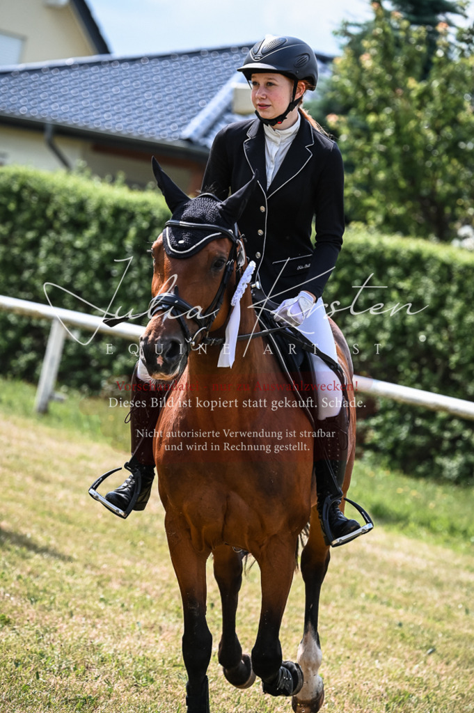 DSC_8632 | Pferde- und Turnierfotografie in Westsachsen. Pferdeportraits, Auftragszeichnungen und intuitive Kunst.