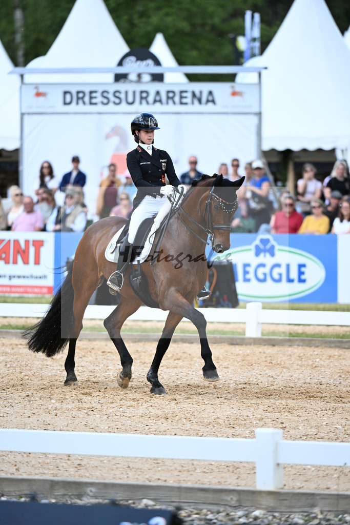 Sohler_Askehavens Beau Sancy_11252489 | hf-fotografie - Realizzato con Pictrs.com