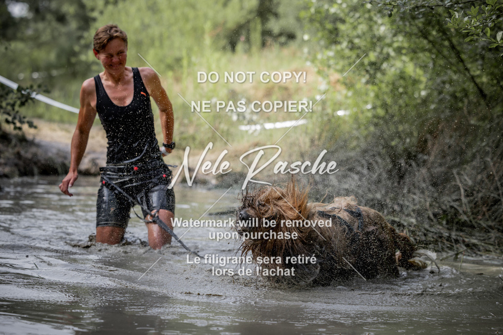 nelerasche_so0800-0930_91 | nelerasche