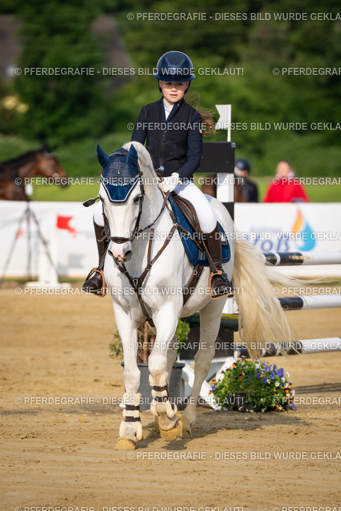 DSC02948 | Pferdegrafie