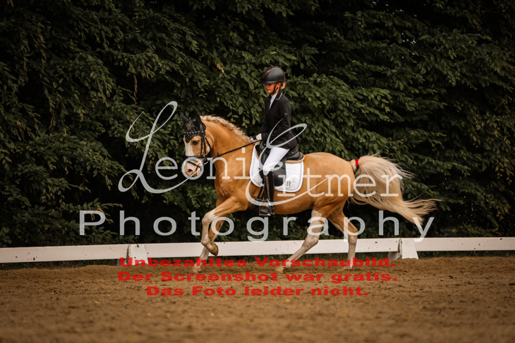 DoDrE00382 | Leoni Ertmer Photography - Realisiert mit Pictrs.com