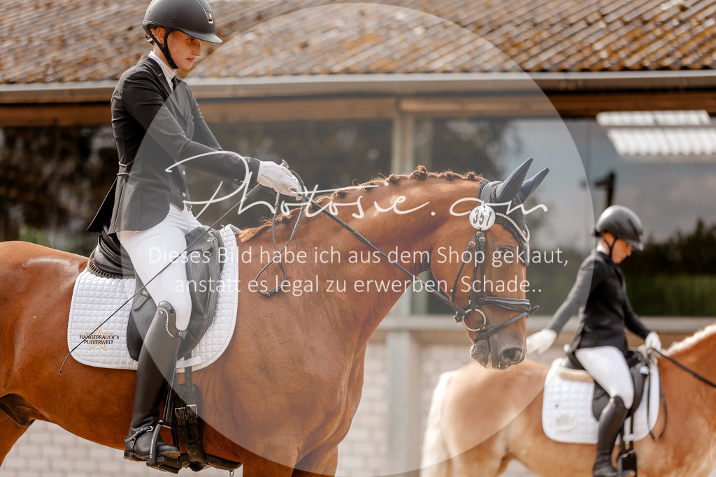 3I6A7423 | Stimmungsvolle Portraits und Reitsportfotografie im Ruhrgebiet und im Münsterland.

Pferdefotografie, Hundefotografie, Tierfotografie, Reportagen, Portraits von Tier und Mensch, Turnierfotografie in Bochum, Recklinghausen, Marl, Haltern am See, Dülmen.. - Realisiert mit Pictrs.com