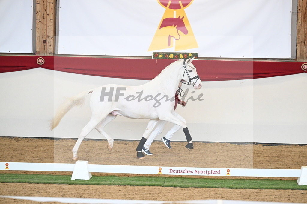 Kat.-Nr. 80 v. Topas_Sahlmann-Schmitz_2250695 | hf-fotografie - Realizzato con Pictrs.com