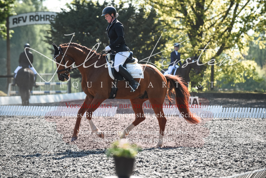 DSC_8757 | Pferde- und Turnierfotografie in Westsachsen. Pferdeportraits, Auftragszeichnungen und intuitive Kunst.
