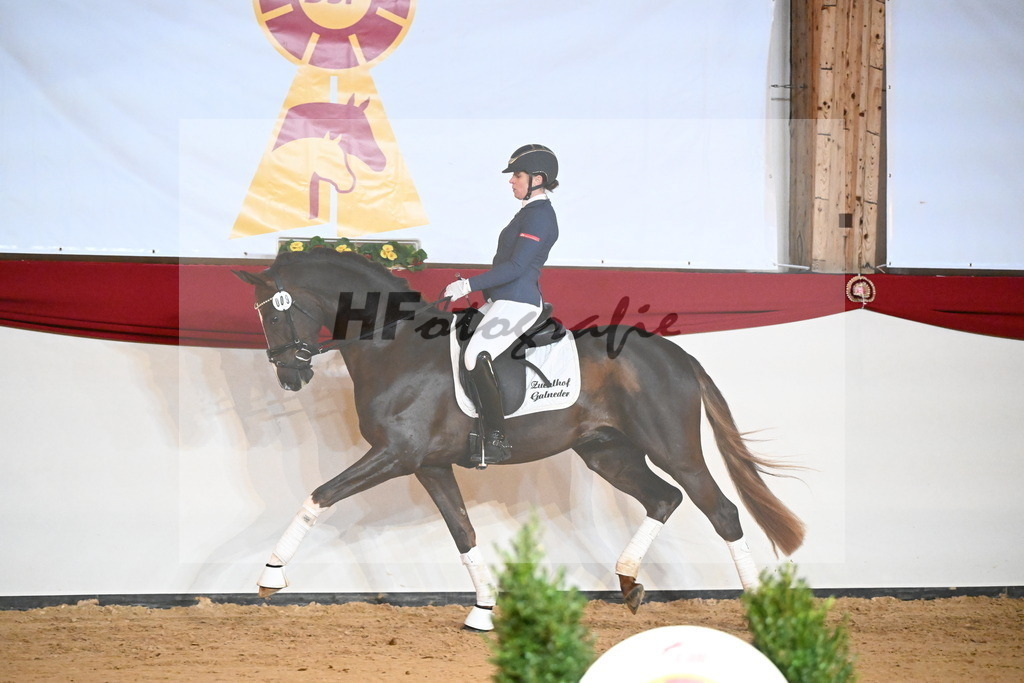 Bastiano_2241710 | hf-fotografie - Realisiert mit Pictrs.com