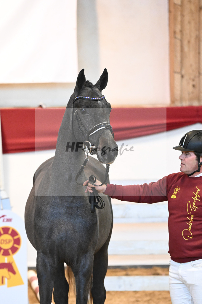 Kat-Nr. 13 Chin Chin x Landprinz_Rudolph_43231305 | hf-fotografie - Realisiert mit Pictrs.com