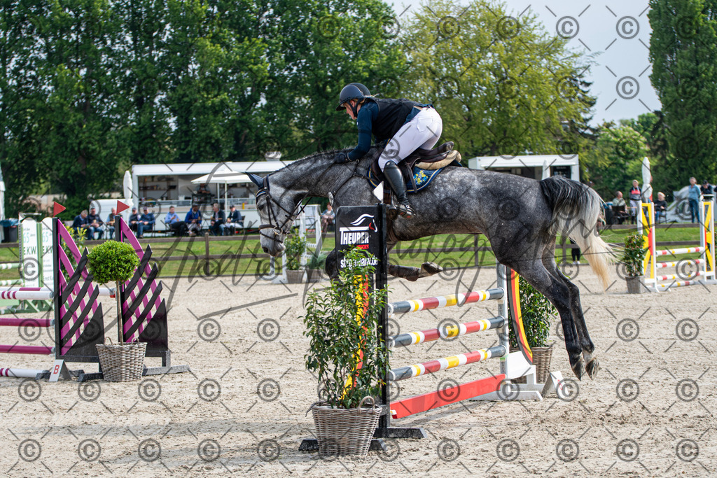 KPT_2485 | andre_photographic