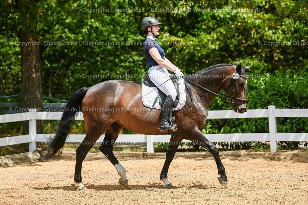 20230715_05_Dressurprüfung Kl.A++_0362 | equistock