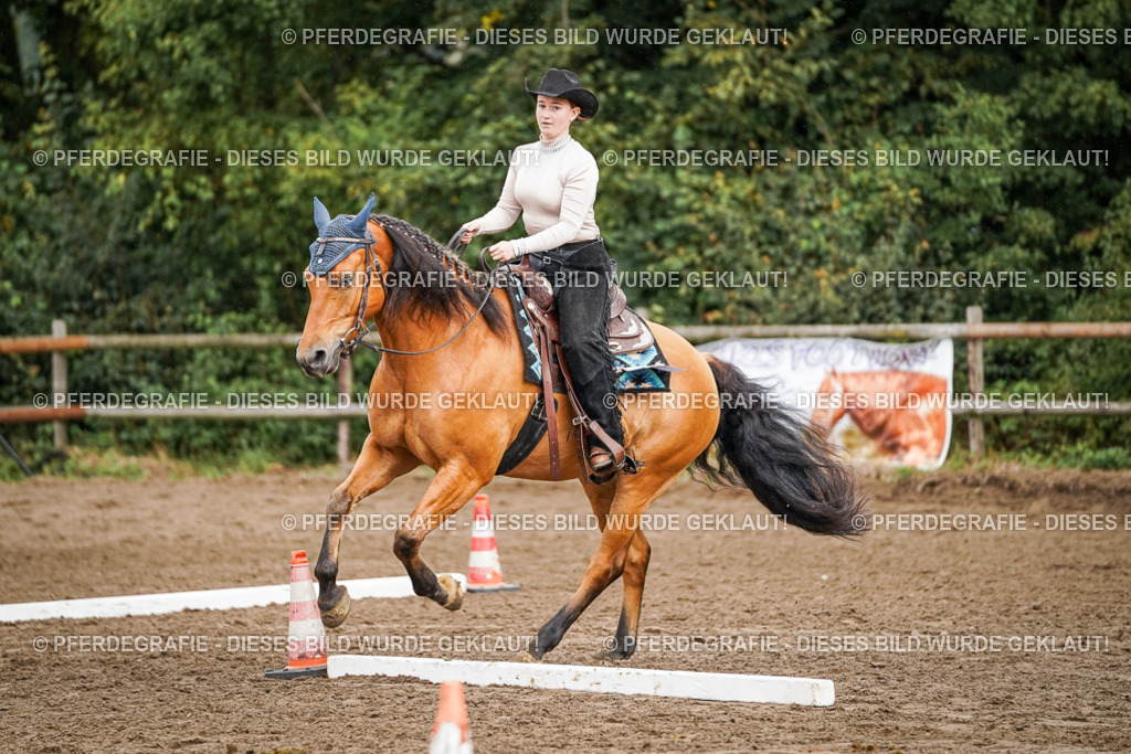 DSC04487 | Pferdegrafie