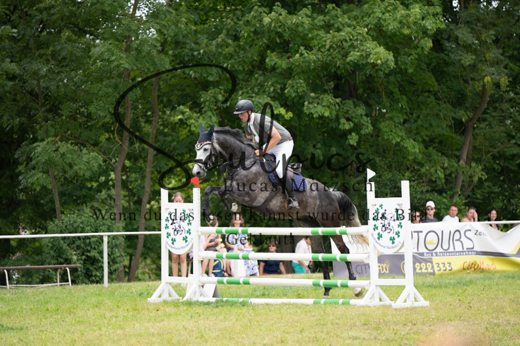 A7V07164 | Pferdefotograf