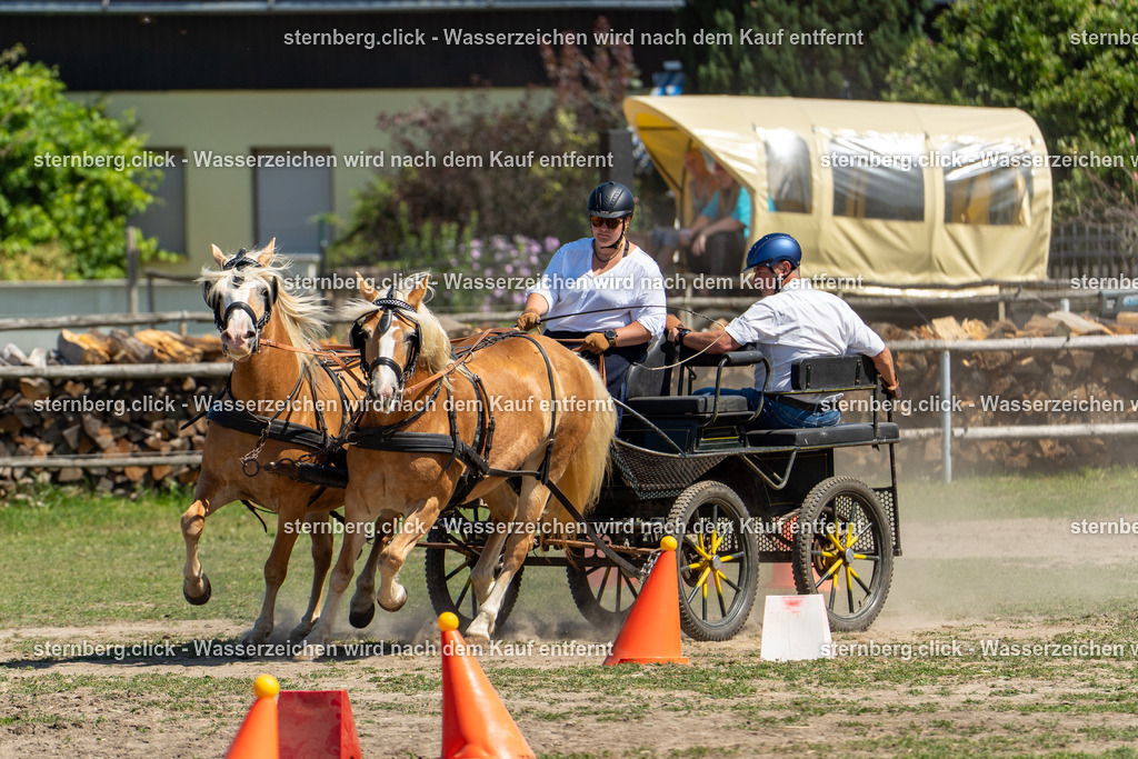 2026-08-09_12-17-26_WBO_Pulsnitz | sternberg.click - Realisiert mit Pictrs.com