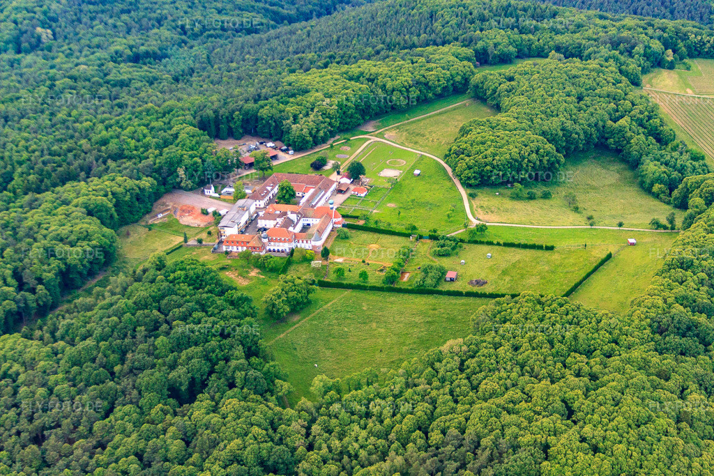 Luftbild: Pferdepension im Kloster Liebfrauenberg in Bad Bergzabern im Bundesland Rheinland-Pfalz in Deutschland. Foto: IMG_58048.jpg vom 16.06.2013 durch Werner Riehm/FLY-FOTO.de