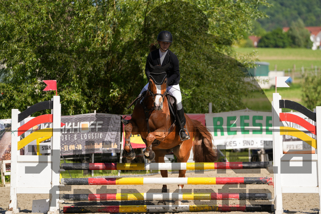 DSC02093 | Julian Held Fotografie - Realisiert mit Pictrs.com