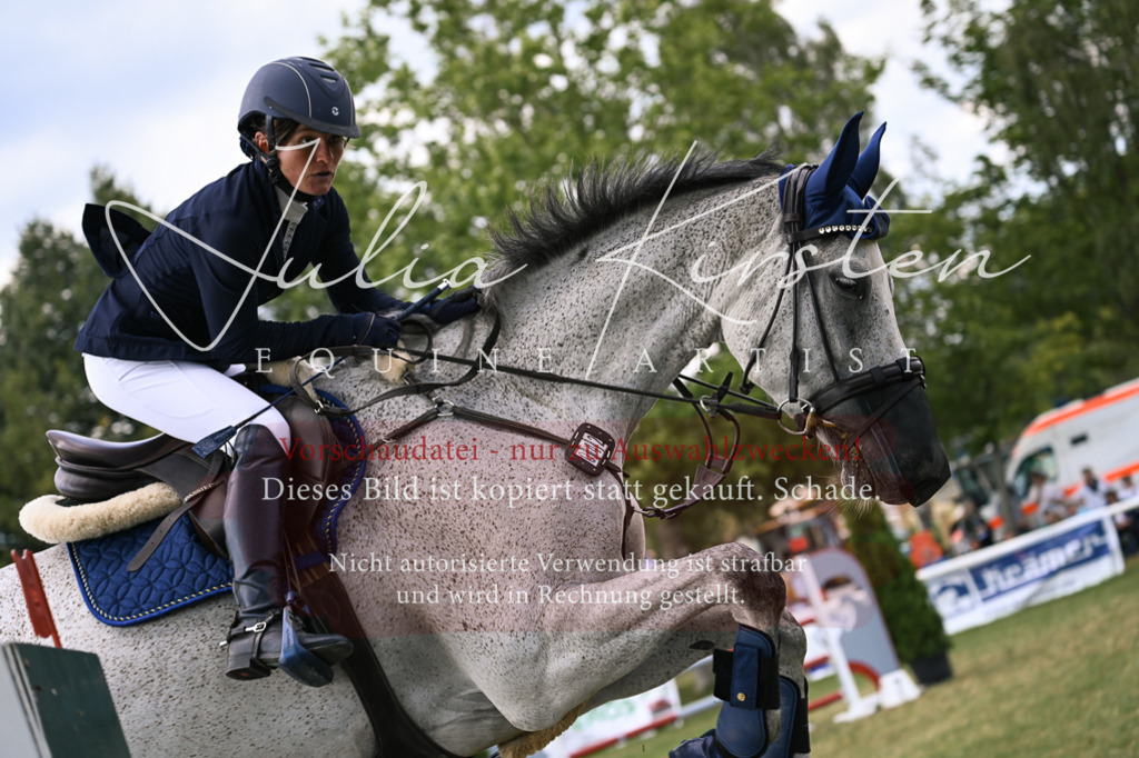 DSC_0956 | Pferde- und Turnierfotografie in Westsachsen. Pferdeportraits, Auftragszeichnungen und intuitive Kunst.