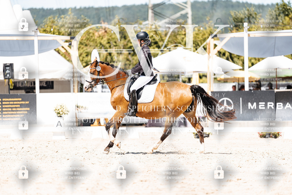 CK900291 | Turnierfotografie Pferdefotografie Trier Rheinland-Pfalz Pferdesport Reitsport Tierfotografie Sportfotografie Pferdevideo Pferdevideografie Equestrianvideography equestrianphotography  - Realisiert mit Pictrs.com