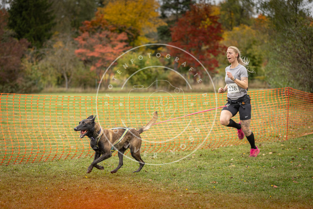 Pfotenfotografie_DV3A4642 | Hundefotografie, Tierfotograf, Pfotenfotografie, Fotoshooting Hund, Hunde Portrait, Hundesport, Hundeportraits, Heideshooting, Hunde, Sportfotograf, Hundefotograf, Turnierhundsport, THS,  - Realisiert mit Pictrs.com