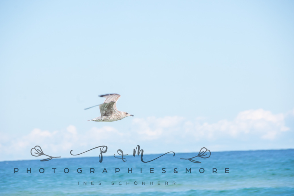 _Grenen22-1793 | Photographies and more - Realisiert mit Pictrs.com