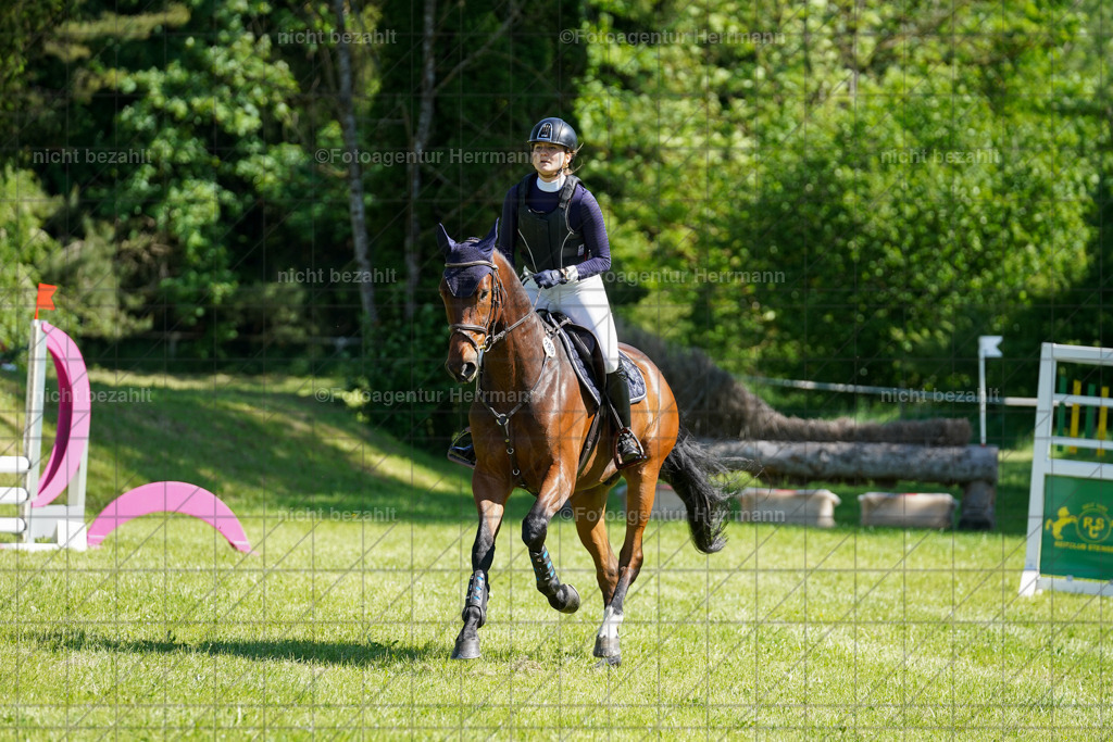 20240518-FAH03072 | rbilder, Turnierfotografen ayern, Fotoagentur Herrmann, Geländeturnier, Springbilder, Dressurbilder, Jungpferdefotograf