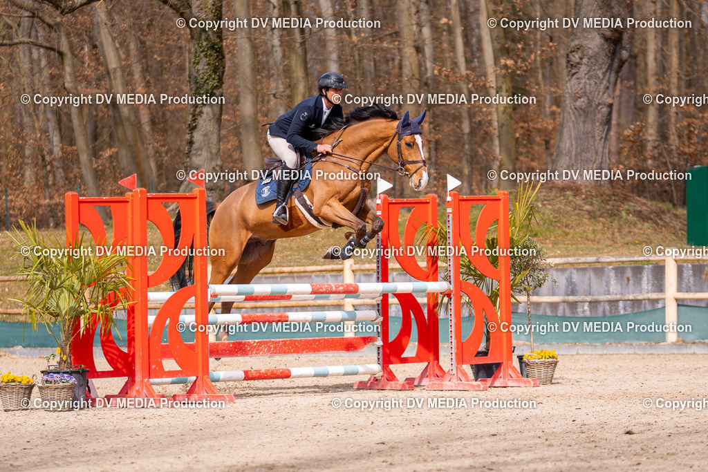 Kranichstein Tag 1-596 | dv-media-shop - Realisiert mit Pictrs.com