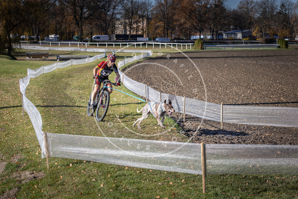 CaniXpix_DV3A5417 | Hundefotografie, Tierfotograf, Pfotenfotografie, Fotoshooting Hund, Hunde Portrait, Hundesport, Hundeportraits, Heideshooting, Hunde, Sportfotograf, Hundefotograf, Turnierhundsport, THS,  - Realisiert mit Pictrs.com