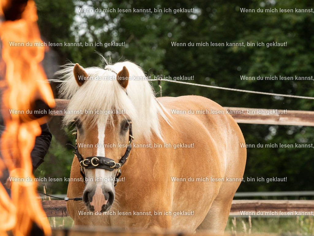 598A6924 | photographylinaismer - Realisiert mit Pictrs.com