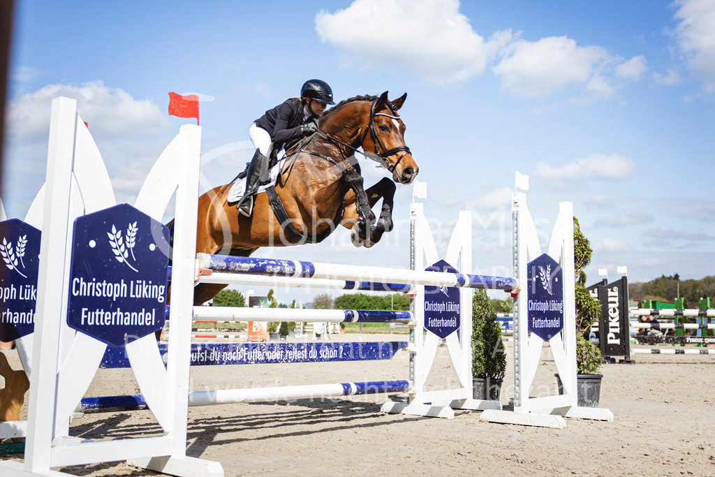 250419_Frühlingsfest_Stil-L-620 | Deine schönsten Turniermomente als professionelle Fotos! Entdecke hochwertige Pferdesport-Fotografie im Online-Shop. Jetzt Fotos finden & bestellen!