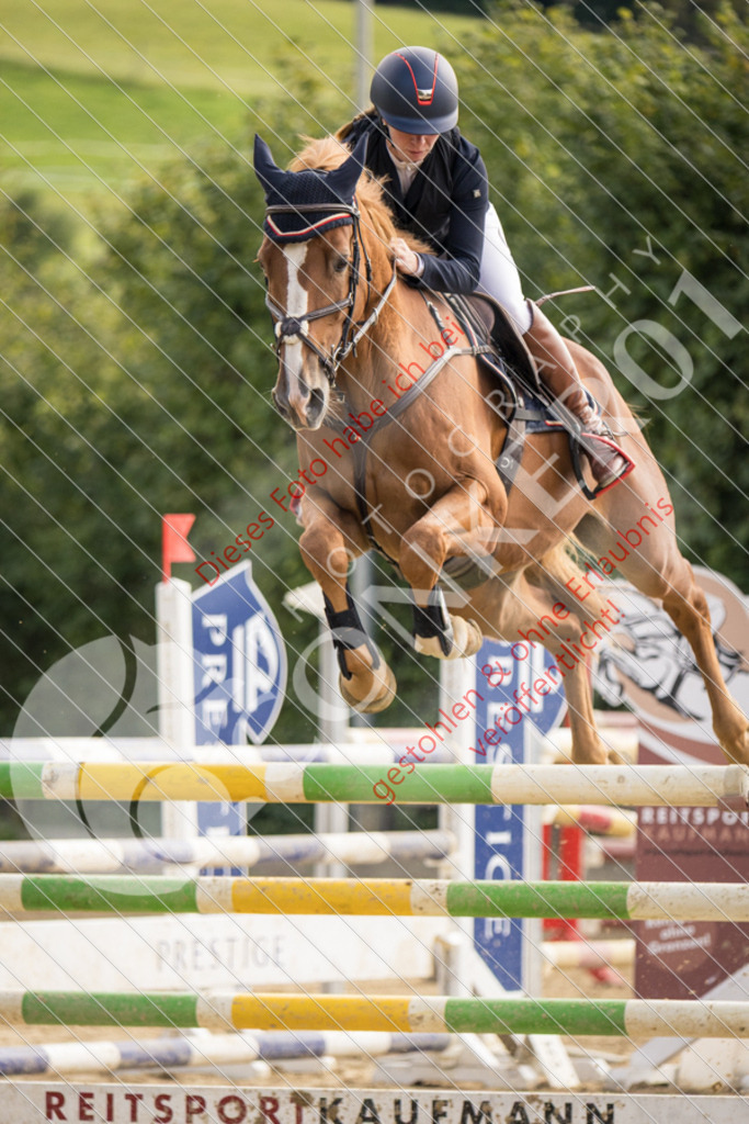 CON_6869 | Sport-, Event- und Tierfotos in Profiqualität. Einfach auswählen, bestellen und herunterladen. Dein Moment – perfekt festgehalten.