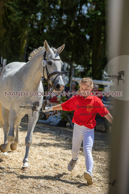 IMG_2914 | mandyhollmannphotographie