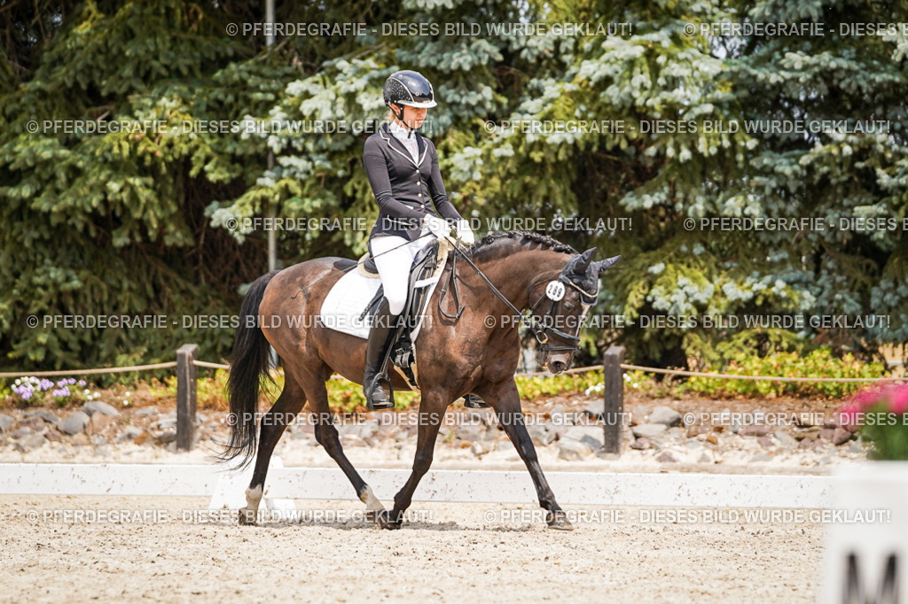 DSC03786 | Pferdegrafie