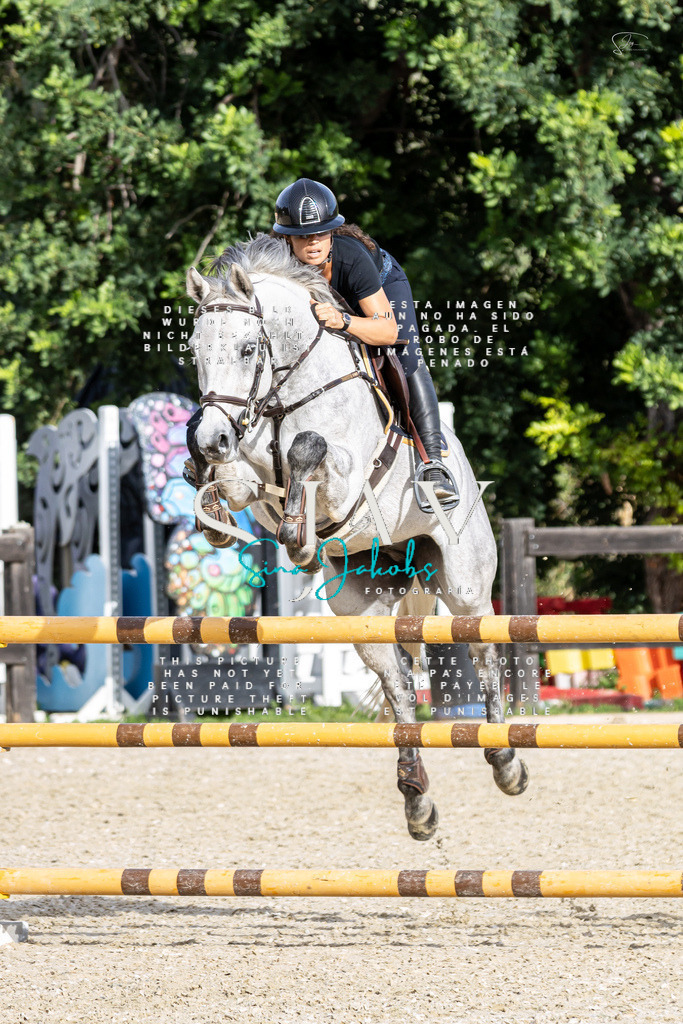 IMG_4140 | s-jay-photography - Realisiert mit Pictrs.com