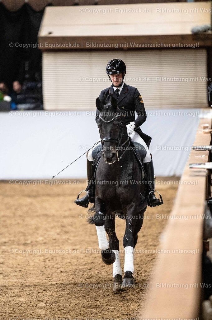 20260307_Hengstvorstellung-Marbach_0476 | equistock