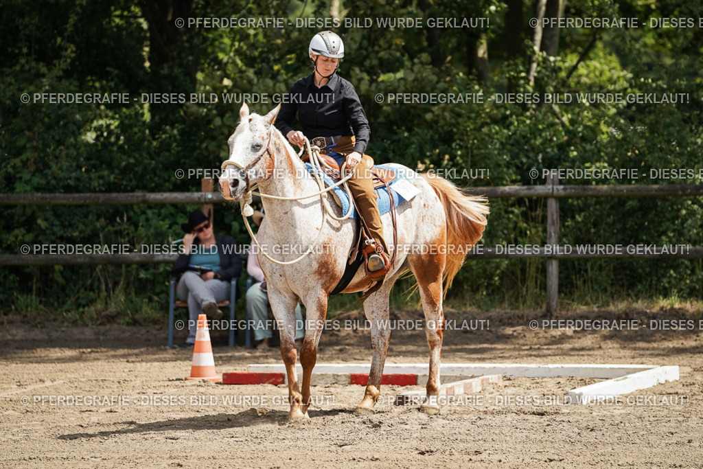 DSC06396 | Pferdegrafie