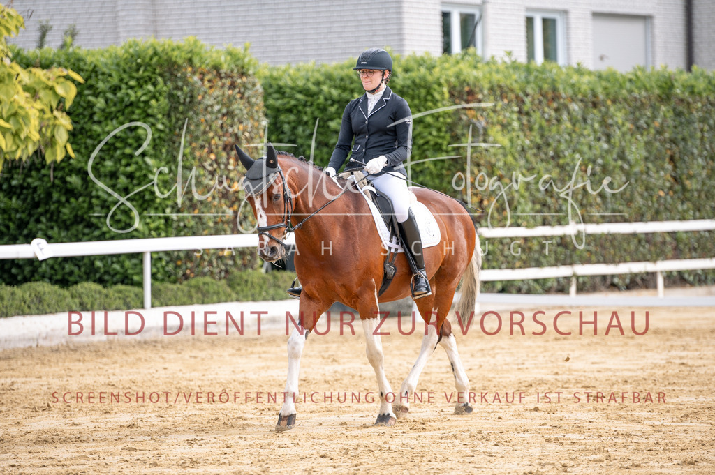 Schugtsche-Aluta25-40.DressurprfA_-222 | Schugtsche Fotografie - Realisiert mit Pictrs.com