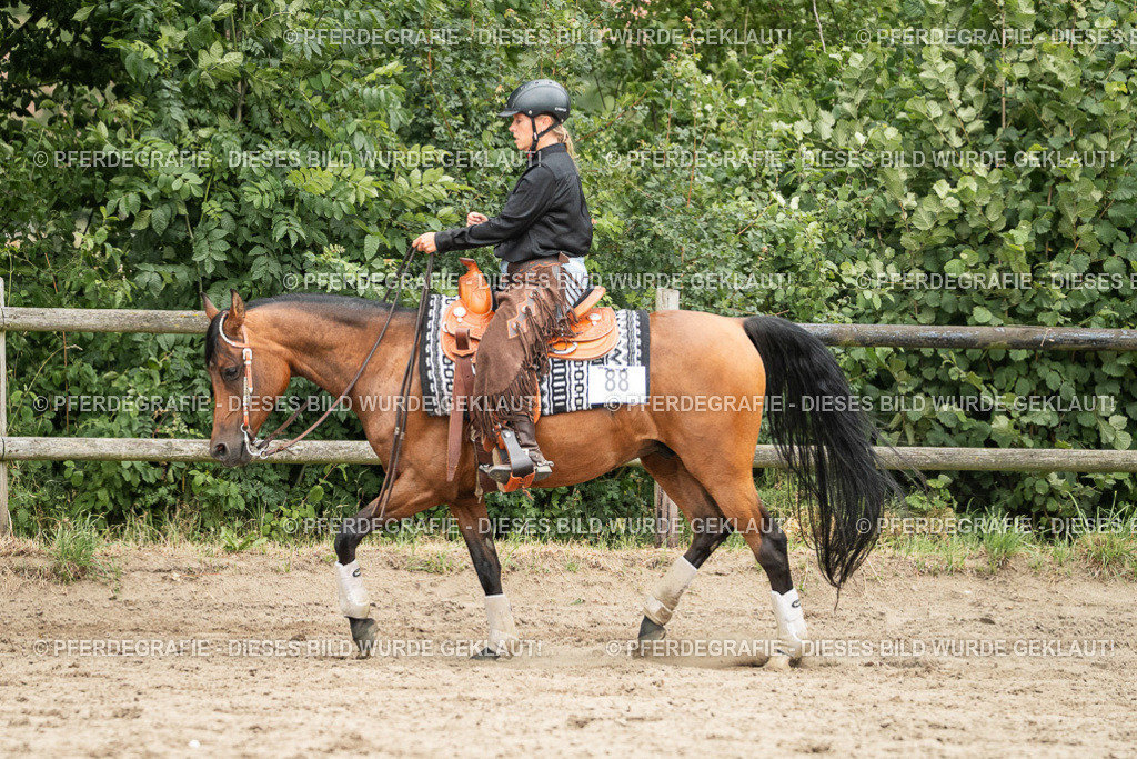 DSC04177 | Pferdegrafie