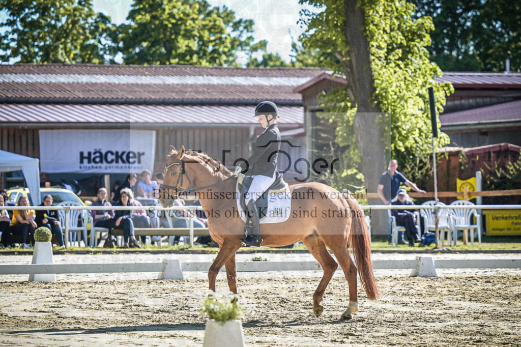 DOS_2753 | Entdecke hochwertige Reitturnierfotos von Foto Oger. Professionell, emotional und authentisch – jetzt Lieblingsmomente im Shop bestellen.Deutschlandweite Turnierfotografie. - Realisiert mit Pictrs.com