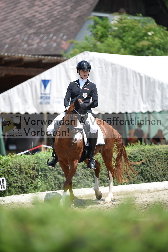 DSC_9653 | equestrian-live-com