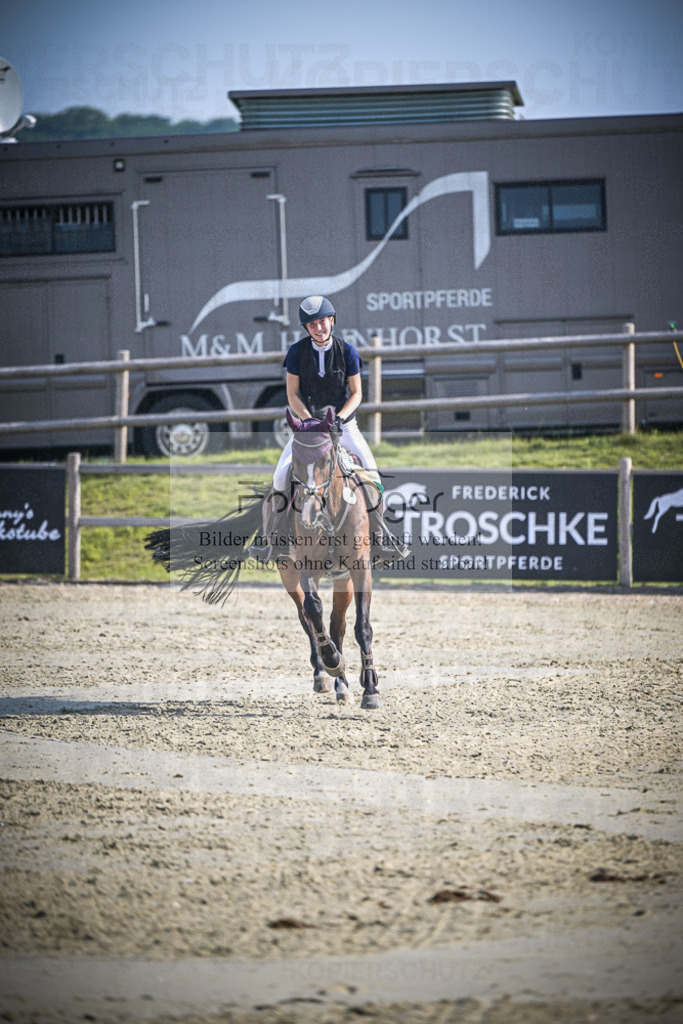 DOS_0157 | Entdecke hochwertige Reitturnierfotos von Foto Oger. Professionell, emotional und authentisch – jetzt Lieblingsmomente im Shop bestellen.Deutschlandweite Turnierfotografie. - Realisiert mit Pictrs.com