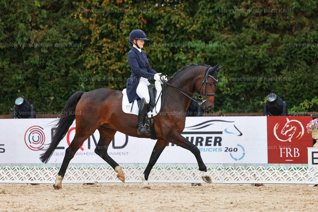 8_2-056-DRESSUR S_  -StoibPH-4408 | working equitationturnier fotograf videograf stoibphotography marixx film working equitation deutschland reitsport turnierfotografie eventfotografie equestrian events