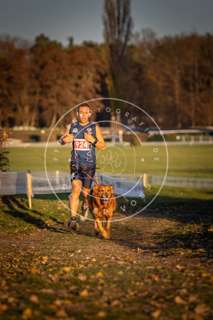 CaniXpix_DV3A4984 | Hundefotografie, Tierfotograf, Pfotenfotografie, Fotoshooting Hund, Hunde Portrait, Hundesport, Hundeportraits, Heideshooting, Hunde, Sportfotograf, Hundefotograf, Turnierhundsport, THS,  - Realisiert mit Pictrs.com