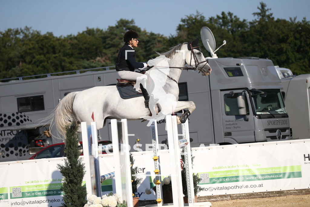 DL2Q5524 | Willkommen bei Brunnmayr - Design & Fotografie – Ihrem Spezialisten für Reitturniere und Pferdeveranstaltungen in Oberösterreich, Salzburg und Bayern! Seit über 17 Jahren sind wir leidenschaftlich dabei.