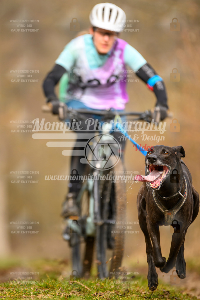 MompixPhotography_Schwabentrail2024_Bike-92 | PayLife
