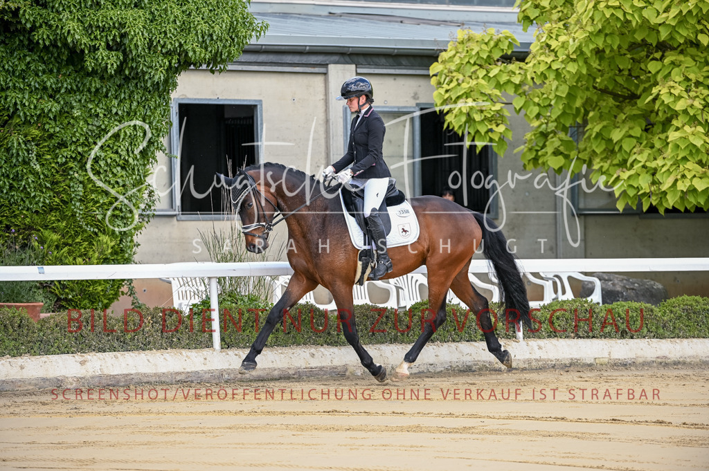 Schugtsche-Aluta25-48.Reitpferfdeprf.-6 | Schugtsche Fotografie - Realisiert mit Pictrs.com