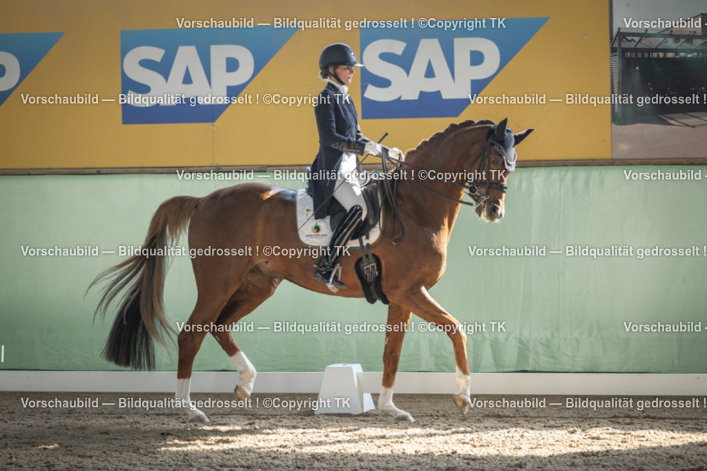 _D5A0057 | Emotionale Pferde- & People-Fotografie rund um Heidelberg, Leimen & Umgebung. Natürliche Fotos von Pferd, Mensch & Familie. Jetzt Termin sichern!